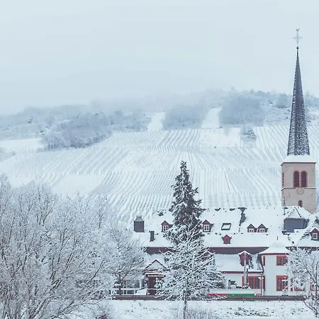 Deutschherrenhof Guest house 3*